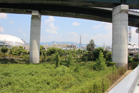 大阪モノレール延伸区間が通過する門真JCT