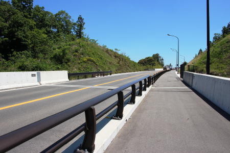モノレール延伸ルート上の第一岩阪橋梁部