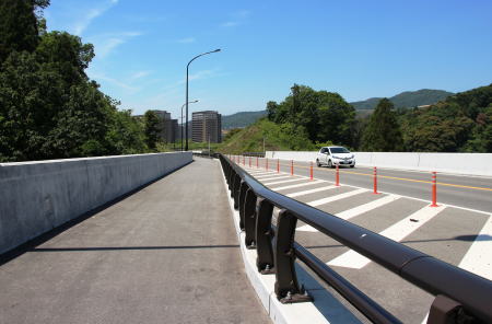 モノレール延伸ルート上の第二岩阪橋梁部上面
