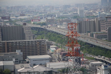 大阪モノレール延伸ルート上に延びる緑地帯