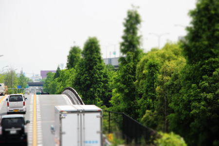 大阪モノレール瓜生堂駅に向かって緑地帯が続く
