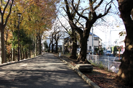 町田中央公園脇の遊歩道