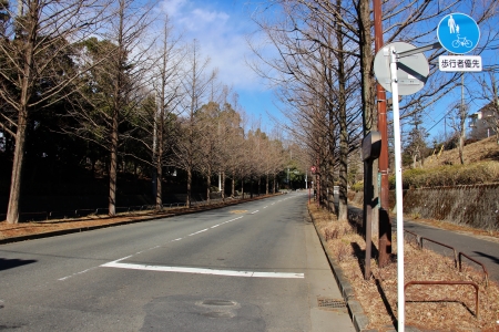 多摩モノレール八王子延伸ルートと町田ルートを繋ぐ道路
