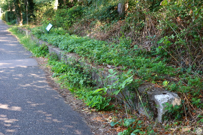 ケルン・フューリンゲン試験場跡地に残るモニュメントと遺構の一部(田村拓丸撮影分)